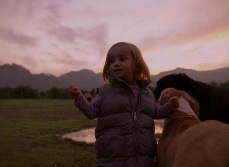 65° Festival di Cannes: “Post Tenebras Lux” di Carlos Reygadas