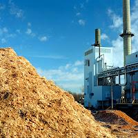 A Sambuca di Sicilia e Santa Margherita Belice si lavora ad un progetto per produrre biomassa