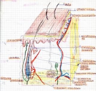Un libro e un quaderno nel mio destino Un libro e un quaderno nel mio destino