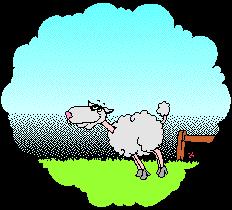 Contando le pecorelle