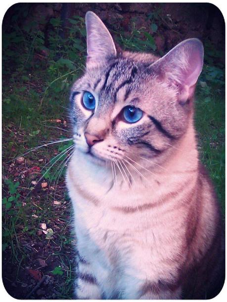 STRABICHINO IN GIARDINO... STRABICHINO IN GIARDINO...