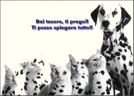 CHI TRADISCE LA MOGLIE RISCHIA L’INFARTO, SOPRATTUTTO SE L’AMANTE È GIOVANE