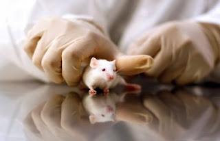 In difesa della ricerca scientifica e della sperimentazione animale