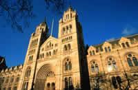 LE OLIMPIADI ALLE PORTE COME MOMENTO DI RINASCITA Natural History Museum Londra