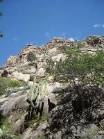 Cafayate