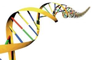 I test genetici non sono tutti uguali: servono regole diversificate