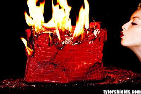 Would You Set on Fire a $100.000 Birkin Bag?