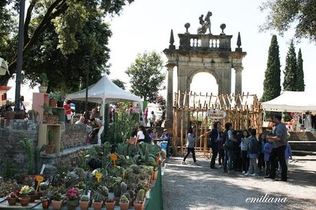 Perugia flower show