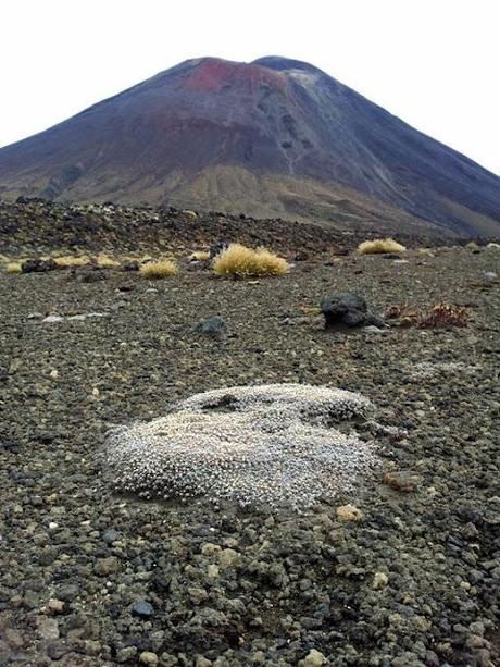 Il paesaggio 'marziano' del Tongariro National Park