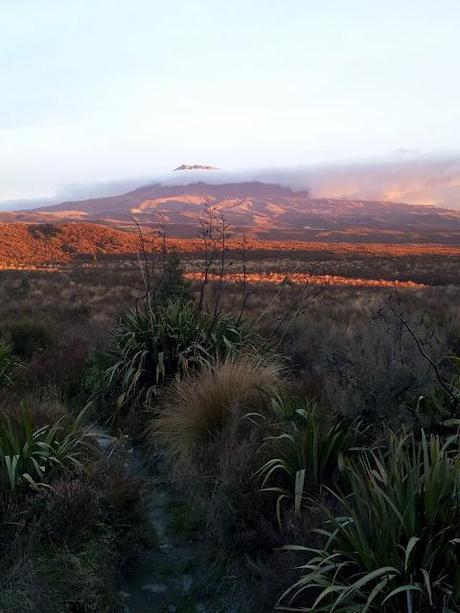 Il paesaggio 'marziano' del Tongariro National Park