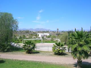 Parque el Cedazo