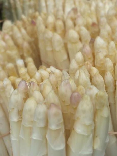 Risotto agli asparagi bianche di Cimadolmo Risotto agli asparagi bianche di Cimadolmo