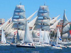 The Tall Ships Races torna a Lisbona