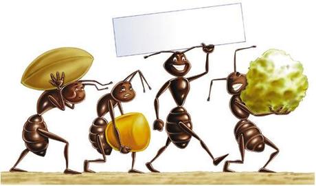 Lievito e formiche