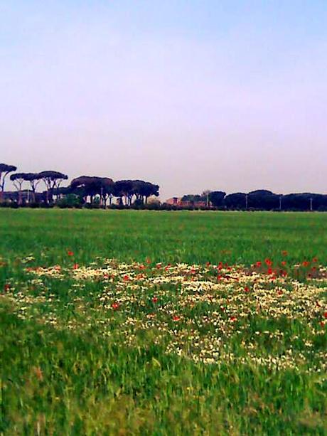 floral: tone it down floral: tone it down