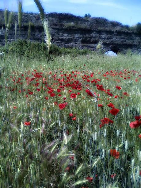 floral: tone it down floral: tone it down