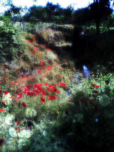 floral: tone it down floral: tone it down