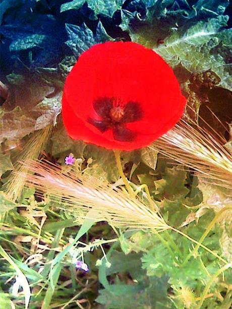 floral: tone it down floral: tone it down