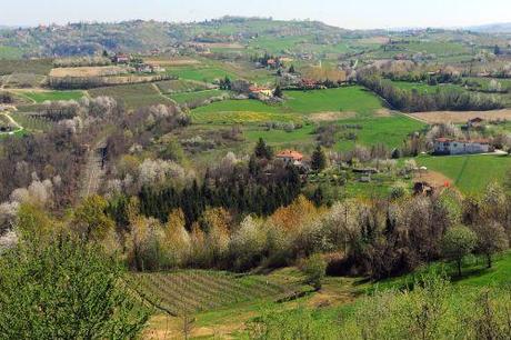 Week-end di Slow Shopping nelle Langhe