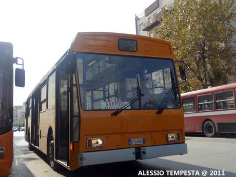 Marsala: la Sorprendente SMA