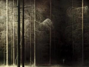 forest, deviantart, louis scutenaire, surrealisti, meth sambiase I VOLTI DELL’AMORE (Louis Scutenaire)