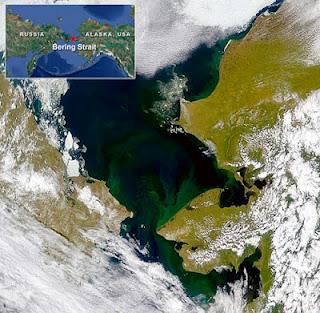 Fitoplancton cresce a dismisura durante l'estate artica