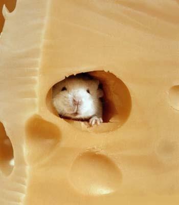 Il buco e l'amministratore Il buco e l'amministratore