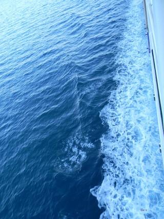 Salvare il Mediterraneo, Medess-4ms, un progetto con base allo Iamc di Oristano Salvare il Mediterraneo, Medess-4ms, un progetto con base allo Iamc di Oristano