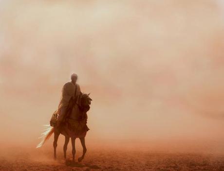 Il Cavallo Berbero: cavallo mitico o mito equino?
