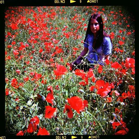 Poppies Mode: ON (#3) - poppies and WZFO ami66 Poppies Mode: ON (#3) - poppies and WZFO ami66