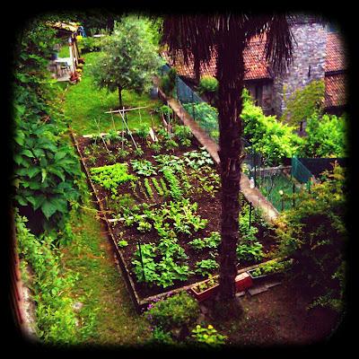 L’orto del vicino è sempre più verde L’orto del vicino è sempre più verde