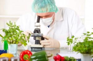 OGM: ne mangi ogni giorno senza saperlo!