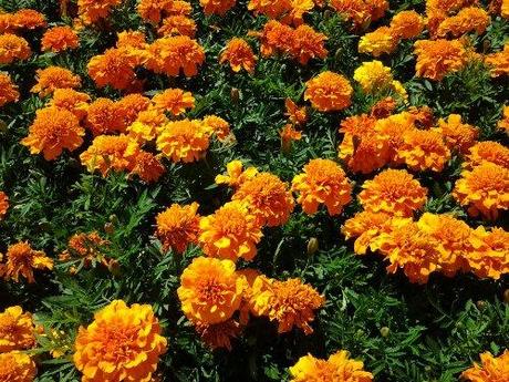 20120618_110531.jpg image