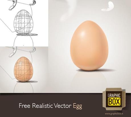Free realistic Vector Egg – L’uovo vettoriale