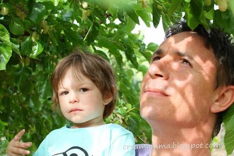 Venite a raccogliere i gelsi? Venite a raccogliere i gelsi?