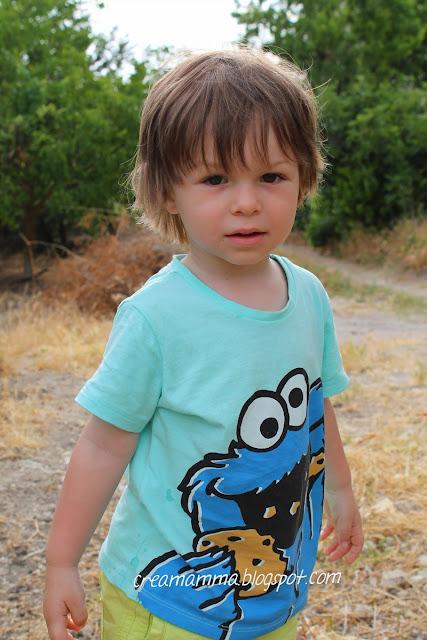 Venite a raccogliere i gelsi? Venite a raccogliere i gelsi?