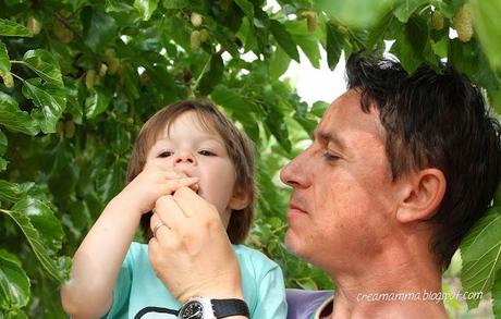 Venite a raccogliere i gelsi? Venite a raccogliere i gelsi?