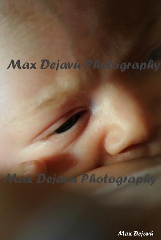 Sostentamento FINE DELL’ALLATTAMENTO