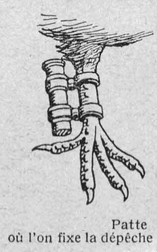 havas-piccioni-viaggiatori e-diplomacy e il mondo non ha più segreti