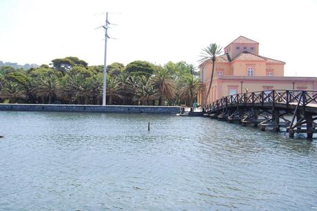 598709_10151053721762612_2033360947_n Gli amici di MartucciViaDesign