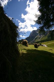 Voglia di vacanze