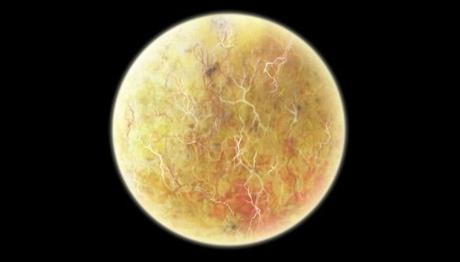 Flash games: Botanicula Flash games: Botanicula