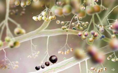 Flash games: Botanicula Flash games: Botanicula