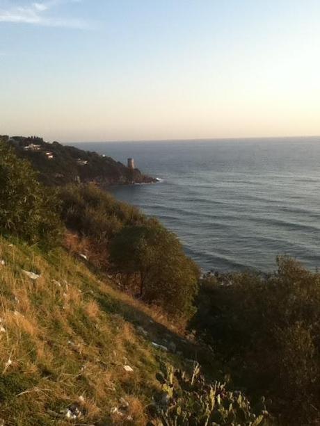 ~Sunny Day~ ~Sunny Day~