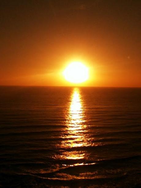 ~Sunny Day~ ~Sunny Day~