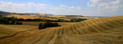 la raccolta del grano in val d'Orcia la raccolta del grano in val d'Orcia