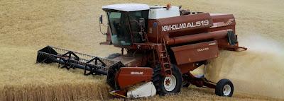 la raccolta del grano in val d'Orcia la raccolta del grano in val d'Orcia