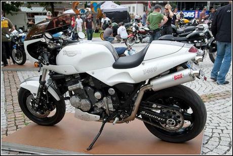 Rat Lab #8 Rat Lab #8