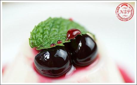 Panna cotta alle amarene