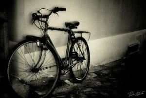 Portogruaro (Ve): arrestati i rapinatori in bicicletta.